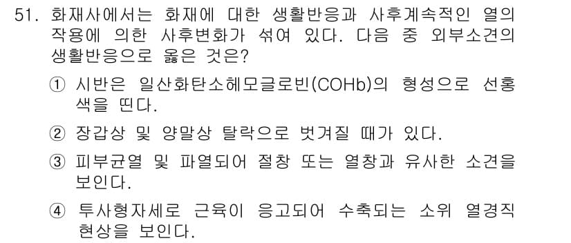 화재감식평가산업기사 2019년 51번 - 정답과 핵심 포인트를 검수 중인 기출문제