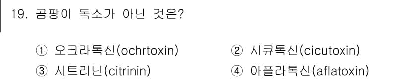 조리산업기사(공통) 2019년 19번 - 정답과 핵심 포인트를 검수 중인 기출문제