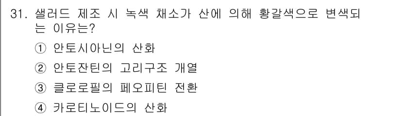 조리산업기사(공통) 2019년 31번 - 정답과 핵심 포인트를 검수 중인 기출문제