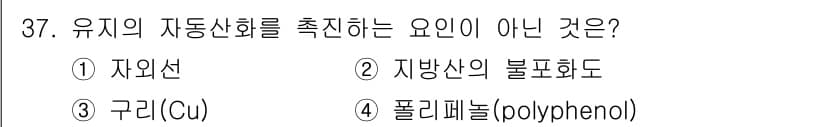 조리산업기사(공통) 2019년 37번 - 정답과 핵심 포인트를 검수 중인 기출문제