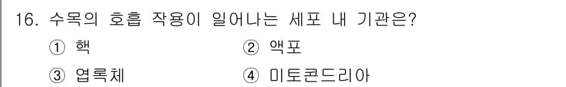 산림기사 2019년 16번 - 정답과 핵심 포인트를 검수 중인 기출문제