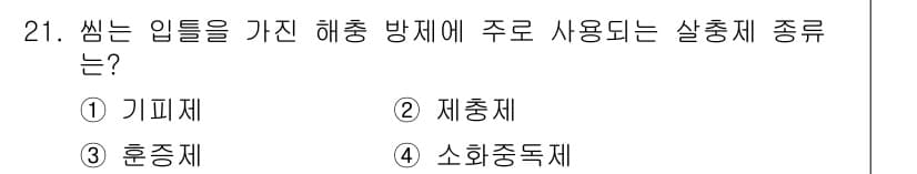 산림기사 2019년 21번 - 정답과 핵심 포인트를 검수 중인 기출문제
