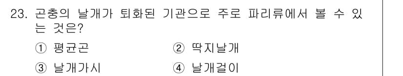 산림기사 2019년 23번 - 정답과 핵심 포인트를 검수 중인 기출문제