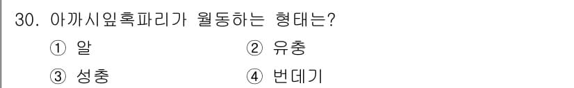 산림기사 2019년 30번 - 정답과 핵심 포인트를 검수 중인 기출문제