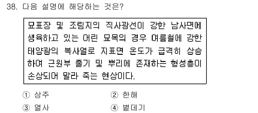 산림기사 2019년 38번 - . 

강한 태양광 저항을 가진 식물은 높은 온도와 강한 햇빛에서 생장 ... 에 관한 핵심 기출문제