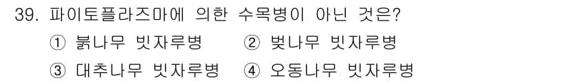 산림기사 2019년 39번 - 정답과 핵심 포인트를 검수 중인 기출문제