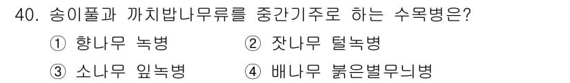산림기사 2019년 40번 - 정답과 핵심 포인트를 검수 중인 기출문제