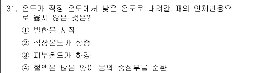 산업안전산업기사 2019년 31번 - 정답과 핵심 포인트를 검수 중인 기출문제