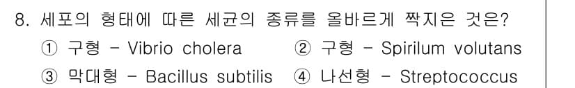 수질환경기사 2019년 8번 - 정답과 핵심 포인트를 검수 중인 기출문제