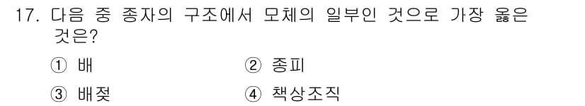 종자기사 2019년 17번 - . 종피  
종자의 구조에서 종피는 외부를 보호하는 역할을 하는 부분으로... 에 관한 핵심 기출문제