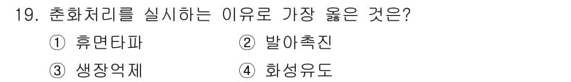 종자기사 2019년 19번 - 정답과 핵심 포인트를 검수 중인 기출문제