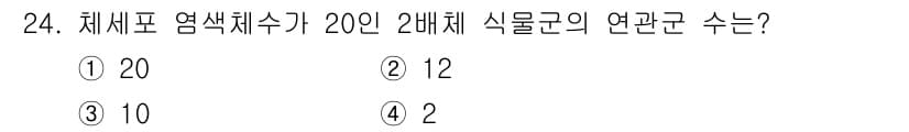 종자기사 2019년 24번 - 정답과 핵심 포인트를 검수 중인 기출문제