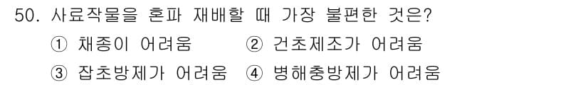 종자기사 2019년 50번 - 사료작물 혼합 재배 시 기장이 불편한 이유는 기장이 생육 조건이 까다롭고... 에 관한 핵심 기출문제