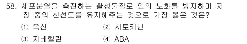 종자기사 2019년 58번 - 정답과 핵심 포인트를 검수 중인 기출문제
