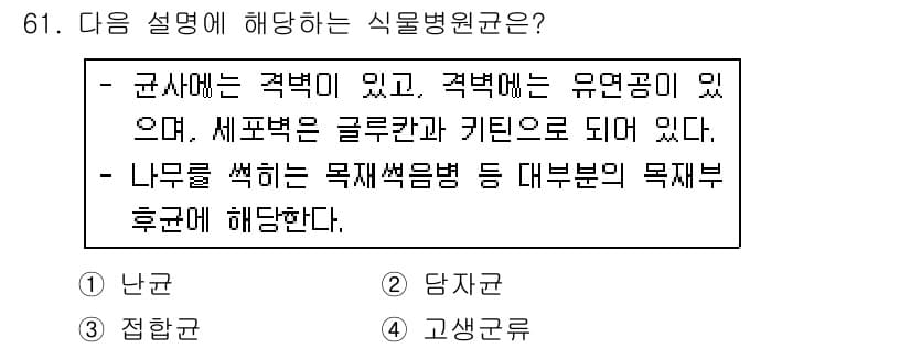 종자기사 2019년 61번 - 정답과 핵심 포인트를 검수 중인 기출문제