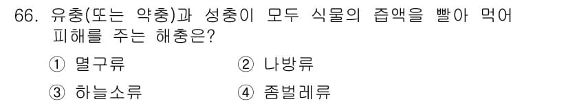 종자기사 2019년 66번 - 정답과 핵심 포인트를 검수 중인 기출문제