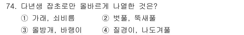 종자기사 2019년 74번 - 정답과 핵심 포인트를 검수 중인 기출문제