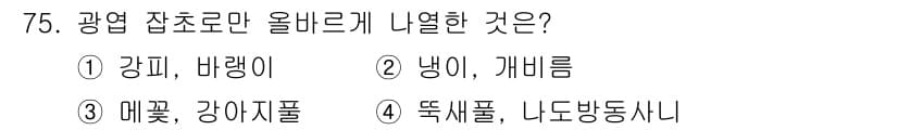 종자기사 2019년 75번 - 정답과 핵심 포인트를 검수 중인 기출문제