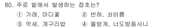 종자기사 2019년 80번 - 정답과 핵심 포인트를 검수 중인 기출문제