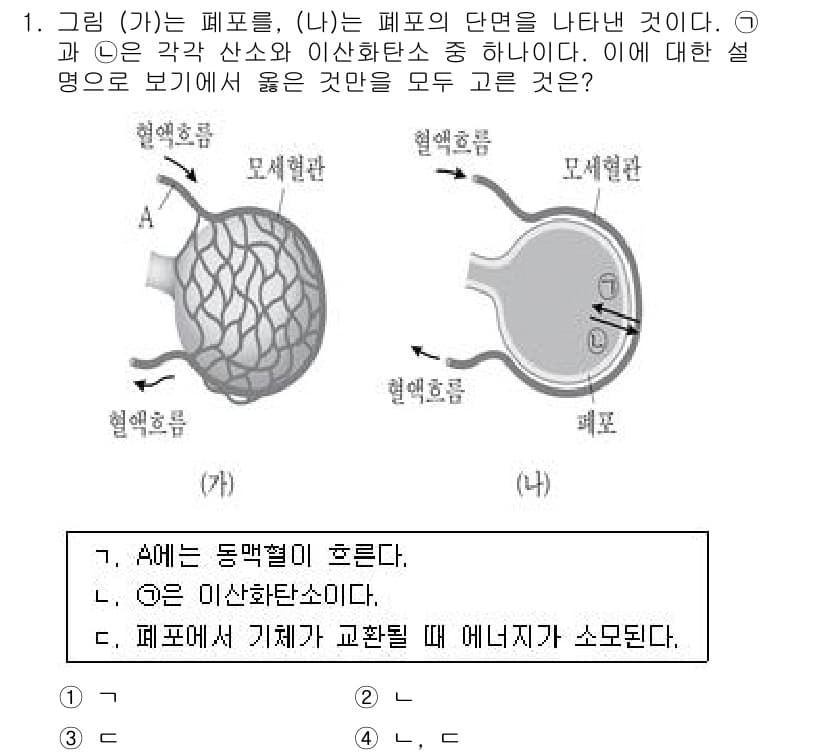 9급_국가직_공무원_과학 2018년 1번 - 그림에서 A는 이산화탄소가 포함된 폐포의 공기와 혈액 간의 가스 교환을 ... 에 관한 핵심 기출문제