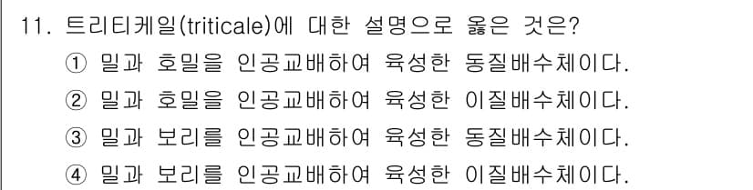 9급_국가직_공무원_식용작물 2016년 11번 - 트리티케일(triticale)은 밀과 호밀을 교배하여 육성한 작물로, 밀... 에 관한 핵심 기출문제