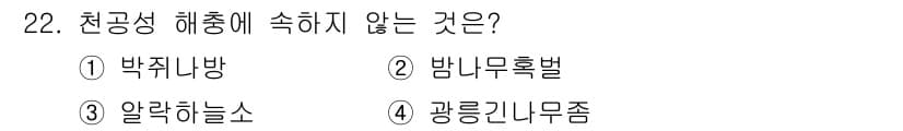 산림산업기사(구60문항) 2019년 22번 - 정답과 핵심 포인트를 검수 중인 기출문제