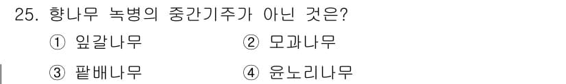 산림산업기사(구60문항) 2019년 25번 - 정답과 핵심 포인트를 검수 중인 기출문제