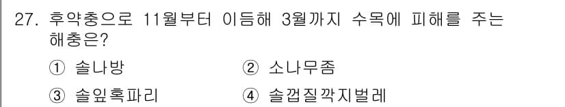 산림산업기사(구60문항) 2019년 27번 - 정답과 핵심 포인트를 검수 중인 기출문제
