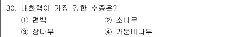 산림산업기사(구60문항) 2019년 30번 - 정답과 핵심 포인트를 검수 중인 기출문제