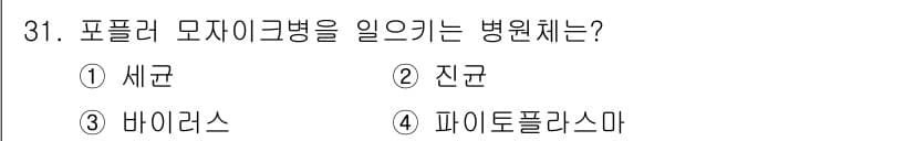 산림산업기사(구60문항) 2019년 31번 - 포플러 모자이크병은 바이러스에 의해 발생하는 질병입니다. 이 병은 주로 ... 에 관한 핵심 기출문제