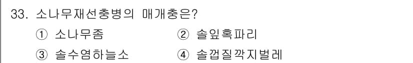 산림산업기사(구60문항) 2019년 33번 - 소나무재선충병은 주로 소나무에 해를 끼치는 병으로, 주로 소나무젖병벌레가... 에 관한 핵심 기출문제