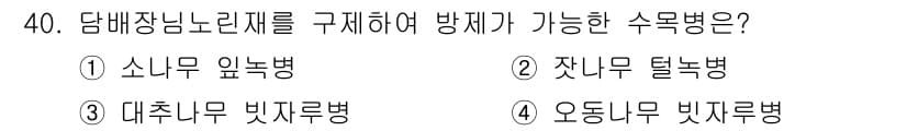산림산업기사(구60문항) 2019년 40번 - 정답과 핵심 포인트를 검수 중인 기출문제