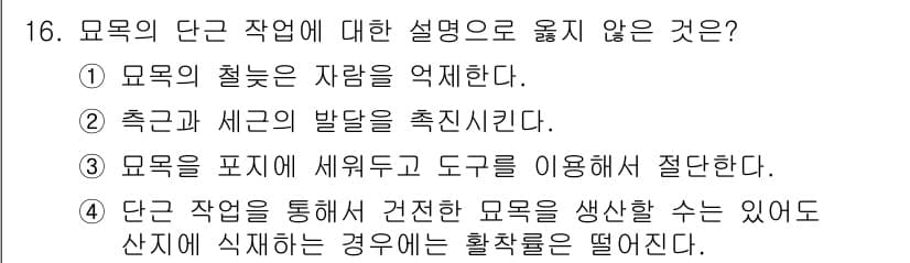 산림산업기사 2019년 16번 - . 

모목은 자랑의 종류로, 이식이 아닌 자연 발생에 의해 발달한다. ... 에 관한 핵심 기출문제