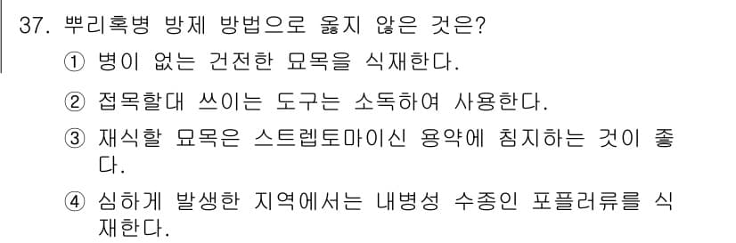 산림산업기사 2019년 37번 - 정답과 핵심 포인트를 검수 중인 기출문제