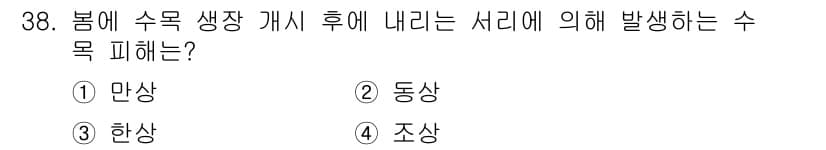 산림산업기사 2019년 38번 - 정답과 핵심 포인트를 검수 중인 기출문제