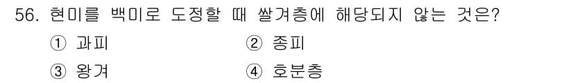 식품안전기사 2019년 56번 - 정답과 핵심 포인트를 검수 중인 기출문제