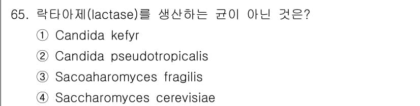 식품안전기사 2019년 65번 - 정답과 핵심 포인트를 검수 중인 기출문제