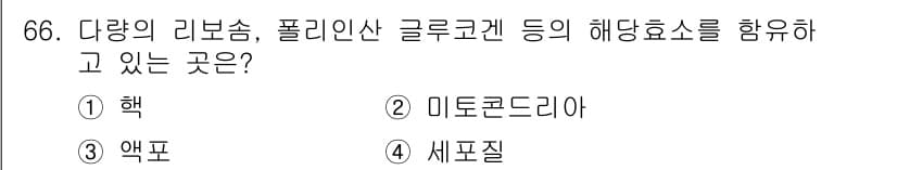 식품안전기사 2019년 66번 - 정답과 핵심 포인트를 검수 중인 기출문제