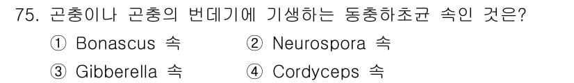 식품안전기사 2019년 75번 - 정답과 핵심 포인트를 검수 중인 기출문제
