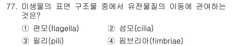식품안전기사 2019년 77번 - 정답과 핵심 포인트를 검수 중인 기출문제