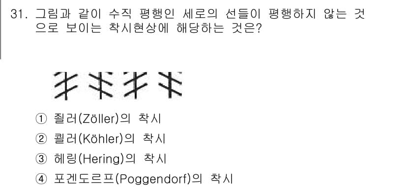 건설안전기사 2019년 31번 - 정답과 핵심 포인트를 검수 중인 기출문제