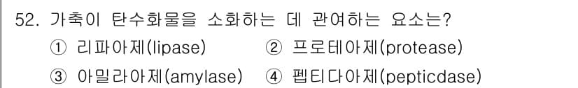 축산기사 2019년 52번 - 정답과 핵심 포인트를 검수 중인 기출문제