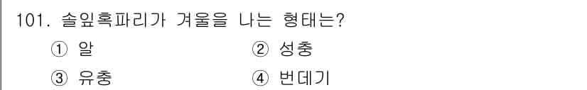 조경기사 2019년 101번 - 정답과 핵심 포인트를 검수 중인 기출문제