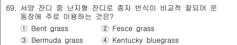 조경기사 2019년 69번 - 정답은 3번 Kentucky bluegrass입니다. 이 잔디는 서양 잔... 에 관한 핵심 기출문제