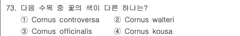 조경기사 2019년 73번 - 정답과 핵심 포인트를 검수 중인 기출문제