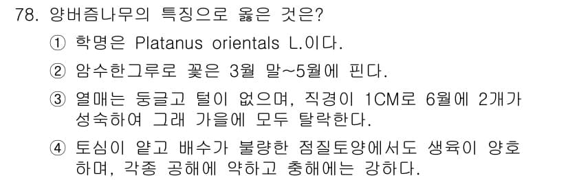 조경기사 2019년 78번 - 정답과 핵심 포인트를 검수 중인 기출문제