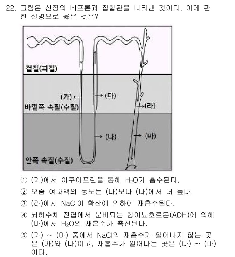 변리사_1차(3교시) 2017년 23번 - 정답 4번은 NaCl이 재섭취되지 않은 곳은 H₂O의 재흡수에 영향을 미... 에 관한 핵심 기출문제