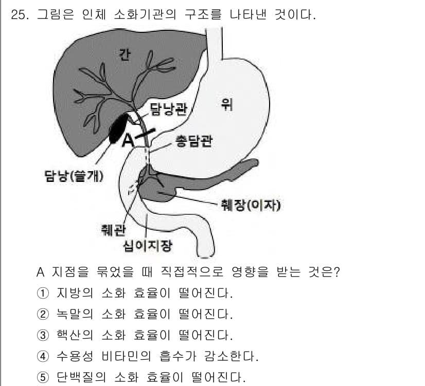변리사_1차(3교시) 2017년 26번 - 정답 5번은 수용성 비타민의 흡수가 감소된다는 점에서 타당하다. 조절기구... 에 관한 핵심 기출문제