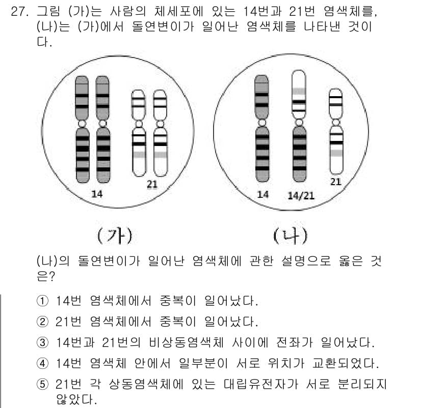 변리사_1차(3교시) 2018년 27번 - (나)의 돌연변이가 14번과 21번 염색체에서 발생했을 때, 각 염색체의... 에 관한 핵심 기출문제