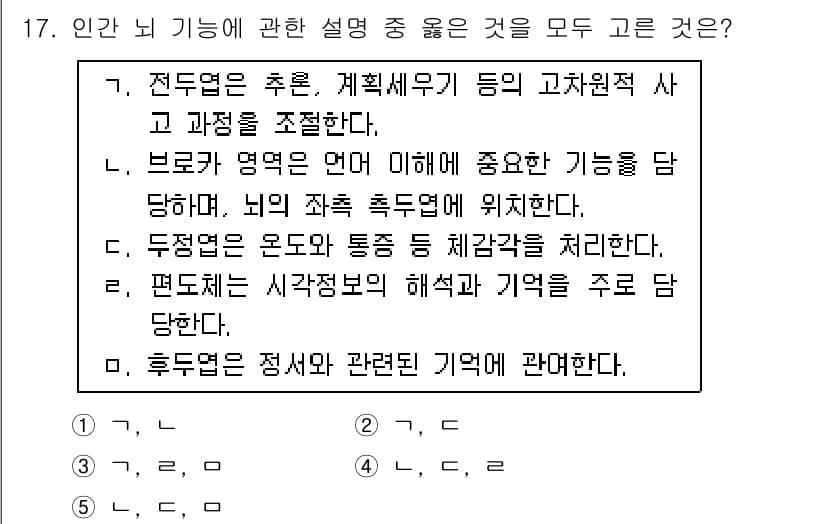 청소년상담사_3급(2교시)(구) 2018년 17번 - 브로카 영역은 언어와 관련된 기능을 담당하며, 언어 표현에서 중요한 역할... 에 관한 핵심 기출문제
